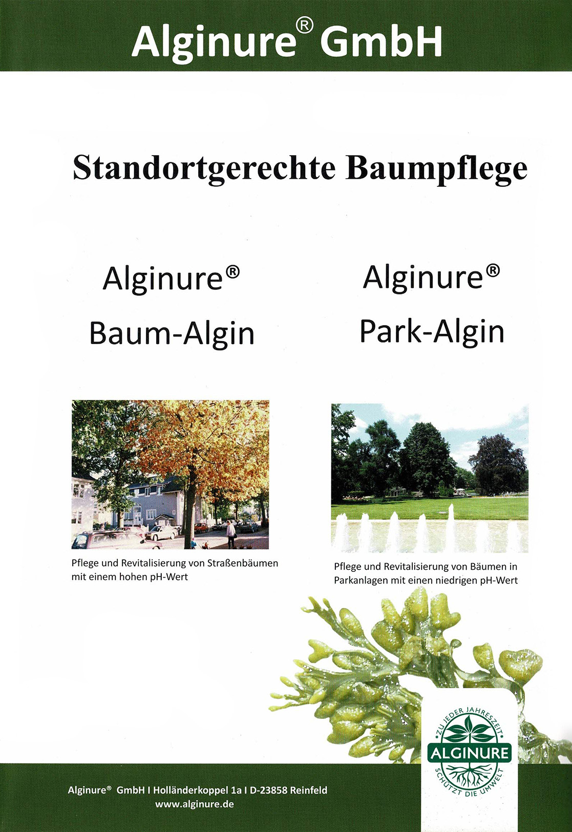 Algin Flyer