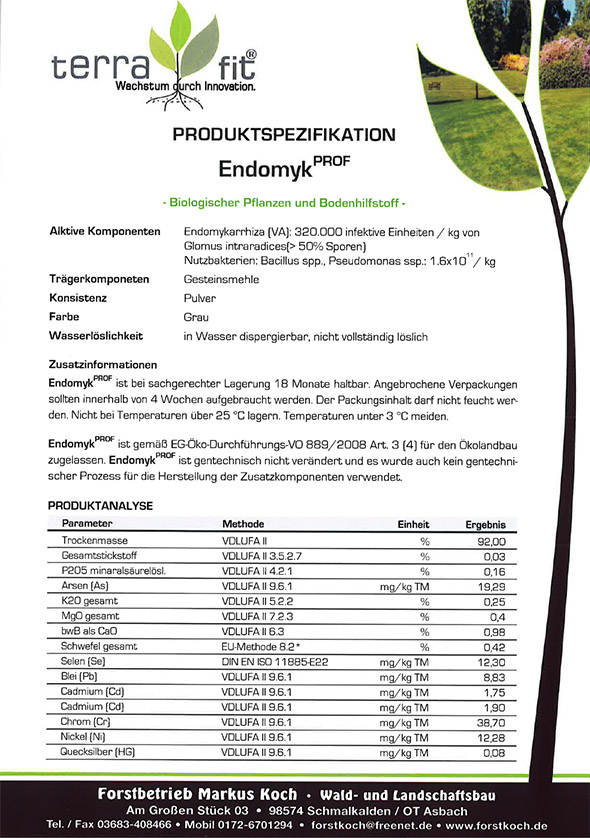 Endomyk Flyer