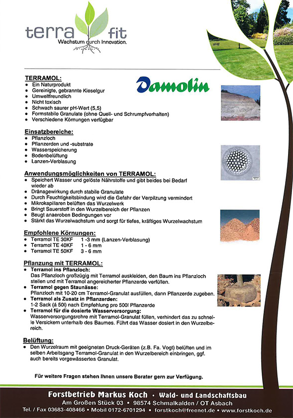 Algin Flyer