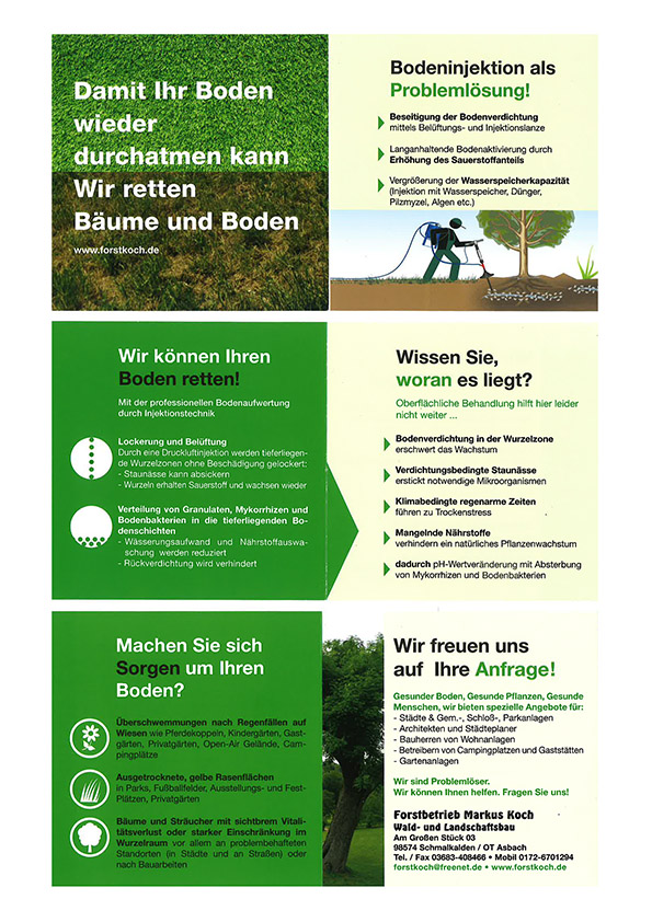 Ektomyk Flyer