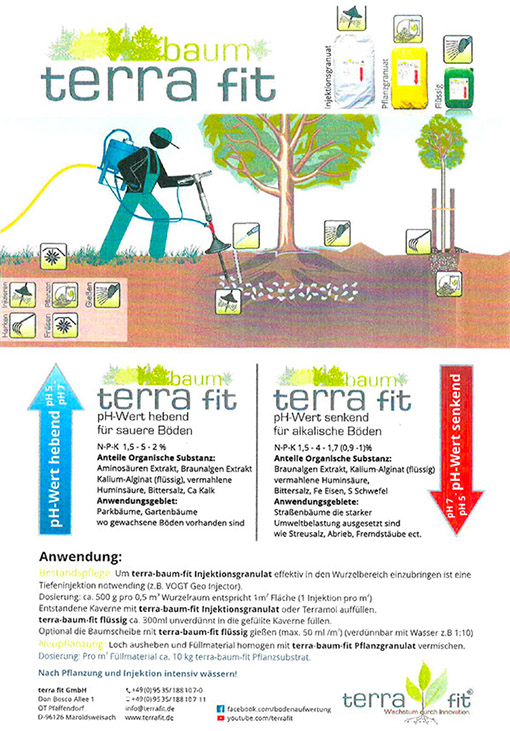 Ektomyk Flyer